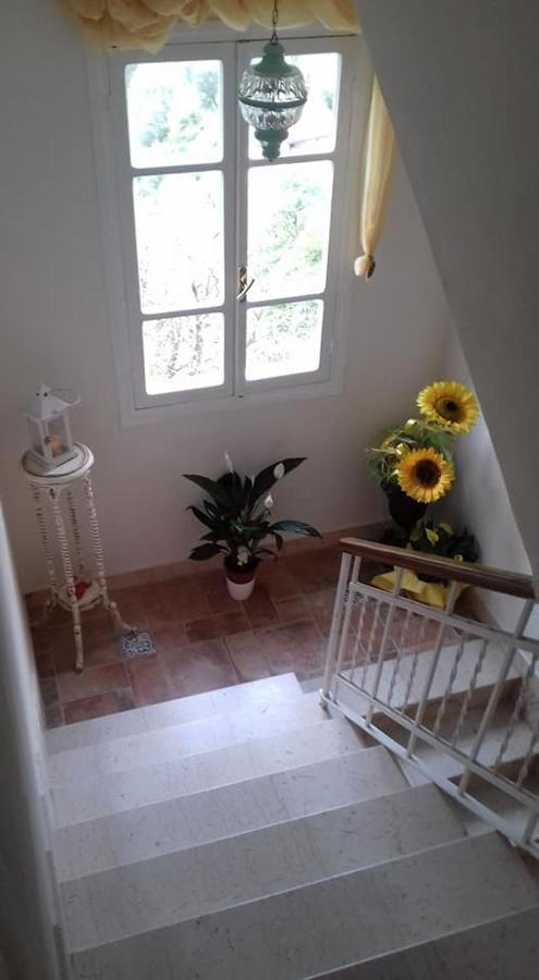 مبيت وإفطار Erli Il Girasole ...At Andorus' House المظهر الخارجي الصورة