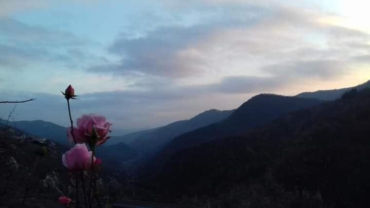 مبيت وإفطار Erli Il Girasole ...At Andorus' House المظهر الخارجي الصورة